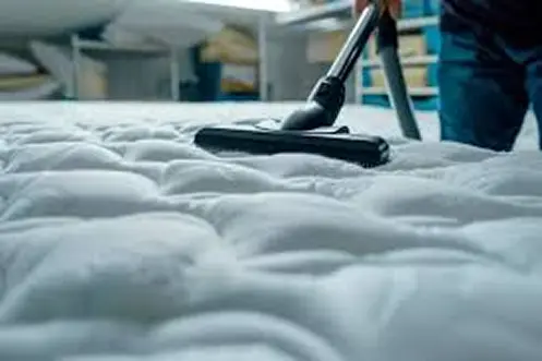 Eco-Friendly Mattress Cleaning in Zürich: Safe Solutions