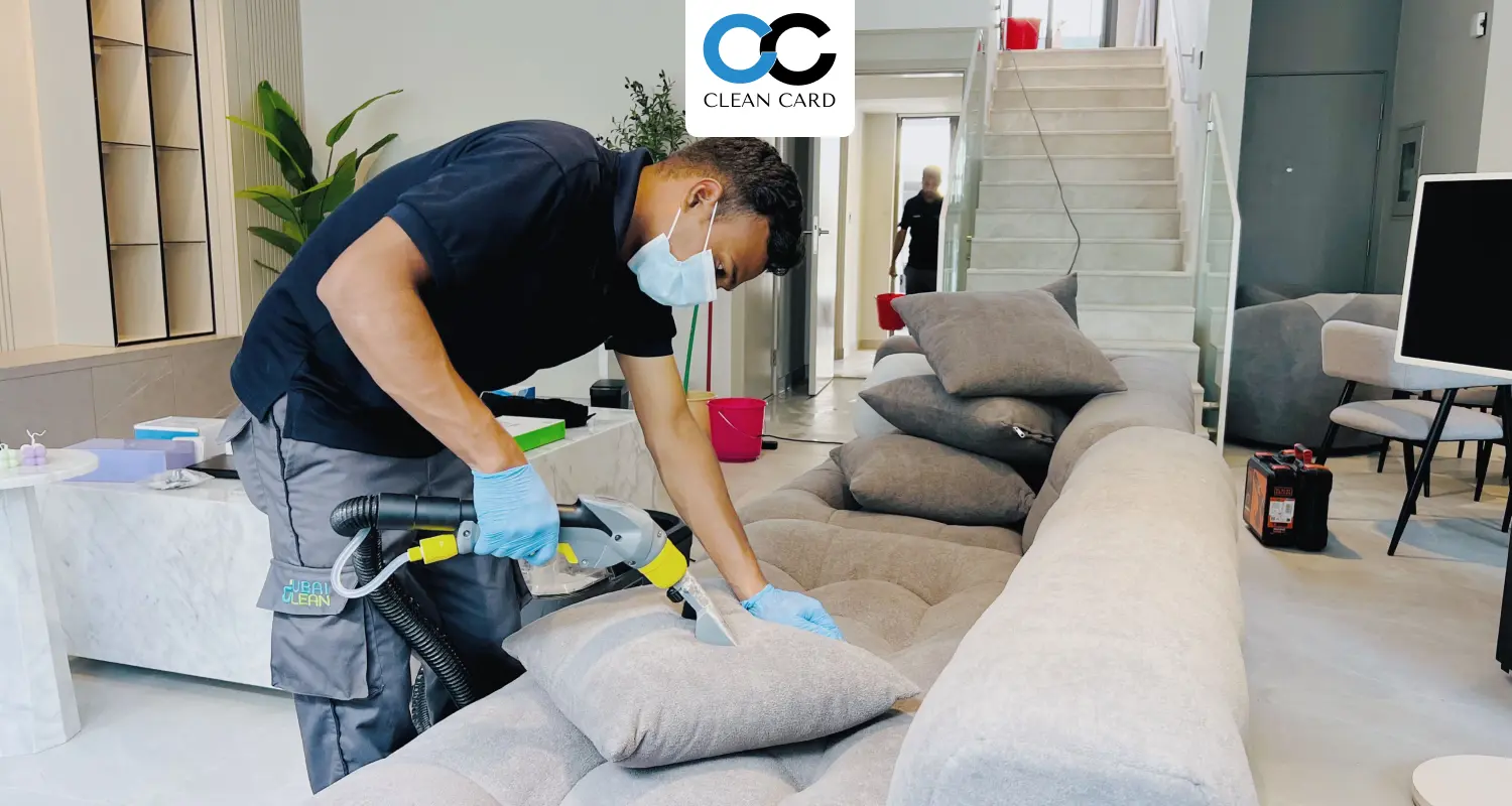Eco-Friendly Sofa Cleaning in Zürich: Safe for Family & Pets
